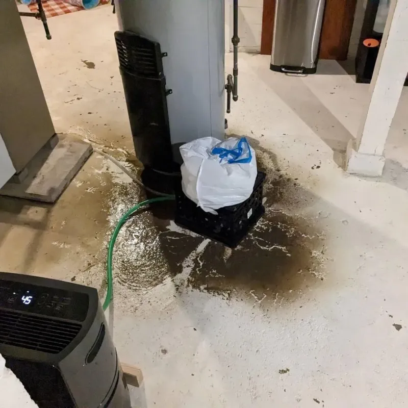 Sewage Backup Cleanup Service in Dexter, NM
